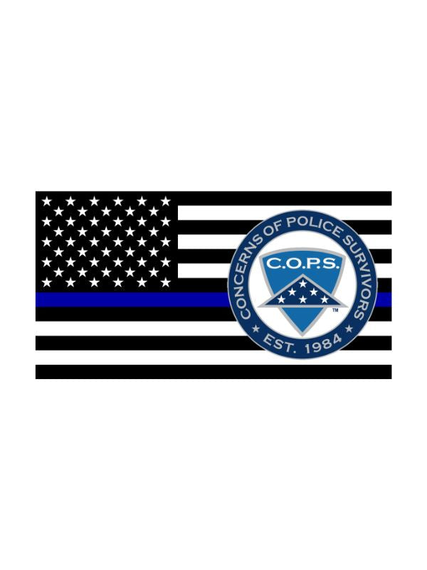 Thin Blue Line Lapel Pin Symbol Arts 