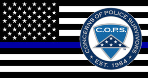 Thin Blue Line Lapel Pin Symbol Arts 