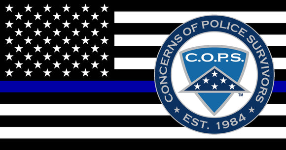 Thin Blue Line Lapel Pin Symbol Arts 